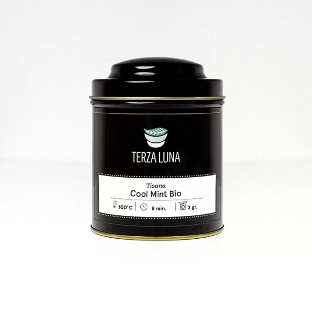 Terza Luna Tisane Alla Frutta^Cool mint bio